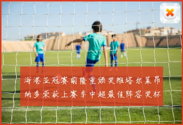 海港亚冠赛前隆重颁奖维塔尔莱昂纳多荣获上赛季中超最佳阵容奖杯